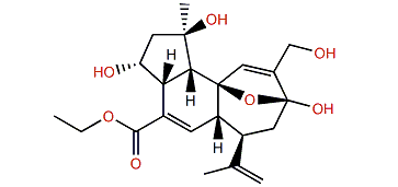 Ethyl plumarellate